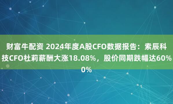 财富牛配资 2024年度A股CFO数据报告：索辰科技CFO杜莉薪酬大涨18.08%，股价同期跌幅达60%