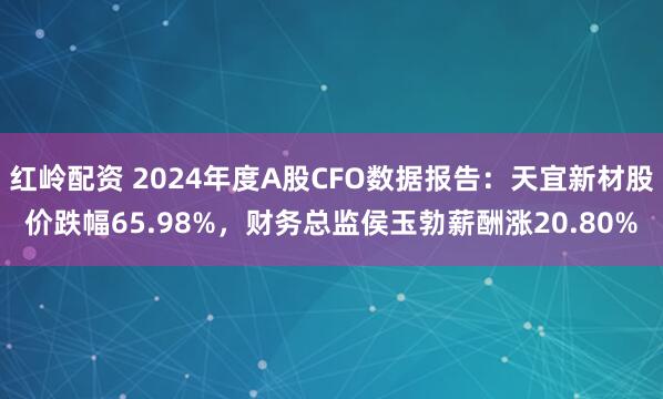 红岭配资 2024年度A股CFO数据报告：天宜新材股价跌幅65.98%，财务总监侯玉勃薪酬涨20.80%