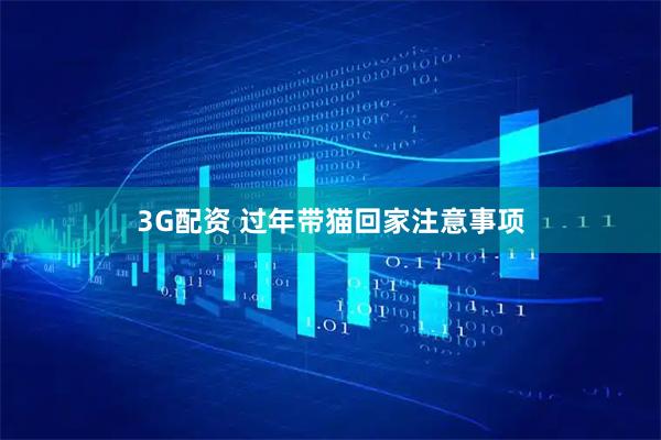 3G配资 过年带猫回家注意事项